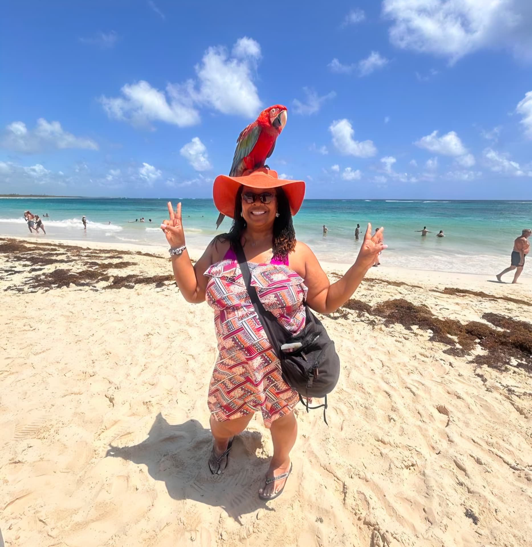 Caribbean shores · feathered friends